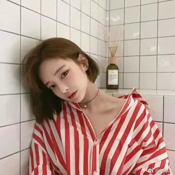 鲨鱼的儿子